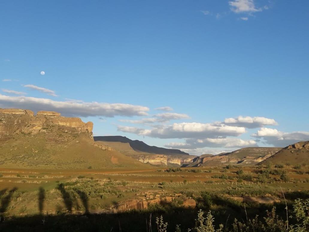 Willow Manor Clarens Bagian luar foto